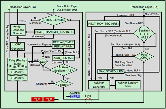 100311107934 100311107934
