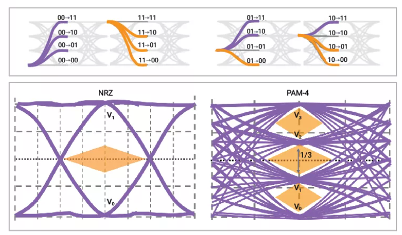 195545439271 195545439271